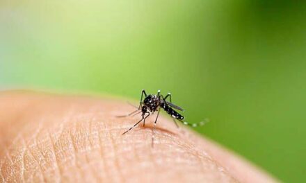 Kids below 10 years most affected by dengue in Iloilo
