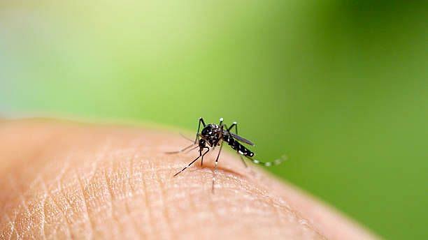 Kids below 10 years most affected by dengue in Iloilo