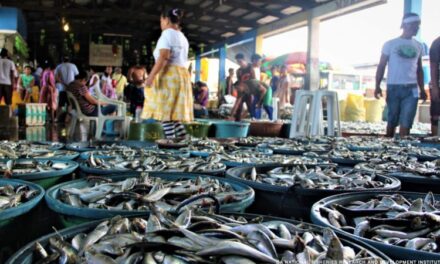 PH supply of local sardines sufficient: DA-BFAR