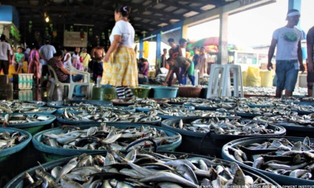 PH supply of local sardines sufficient: DA-BFAR