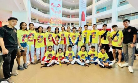 Region 6 taekwondo jins dominate nat’l kyorugi tourney