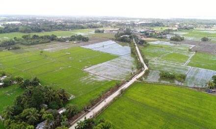 Access road in Leganes completed
