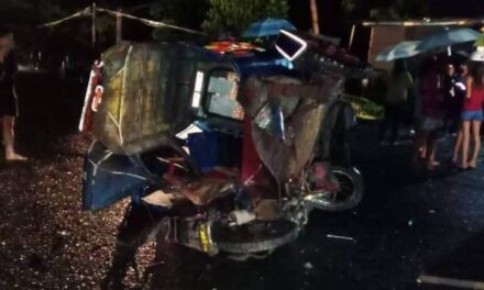 Teachers, kid die after truck hits tricycle in Miagao