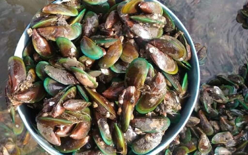 Red tide affects 3 more Capiz towns