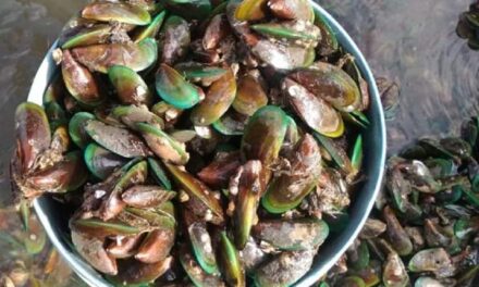 Red tide affects 3 more Capiz towns