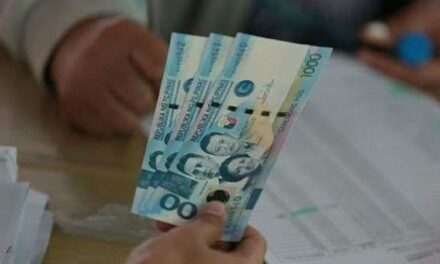 4Ps system needs review to achieve goals: solon