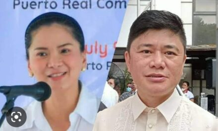 Baronda slaps Nava with multiple cyberlibel charges