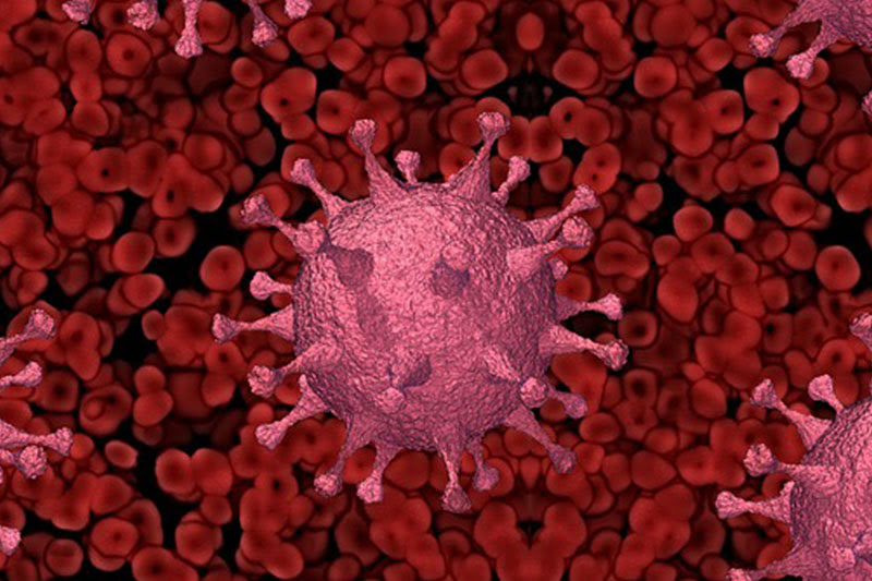 Iloilo province logs 18 cases of Omicron XBB subvariant, XBC variant