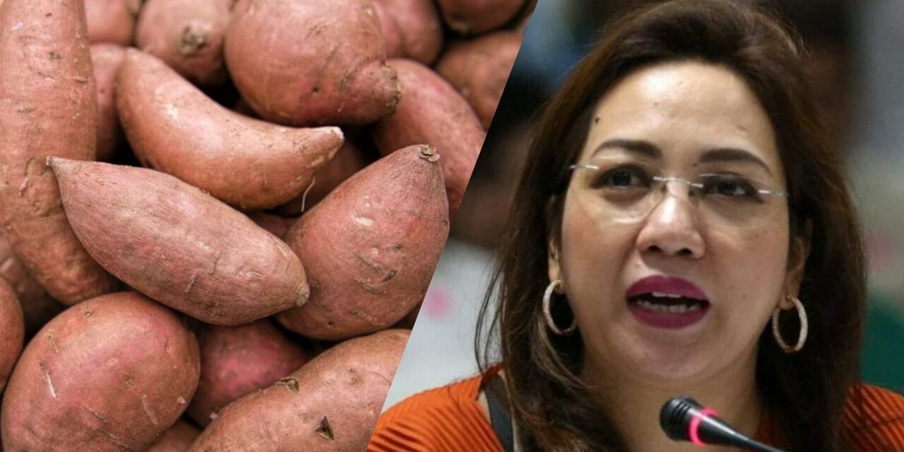 Garin wants DA to promote ‘kamote’ as alternative to rice
