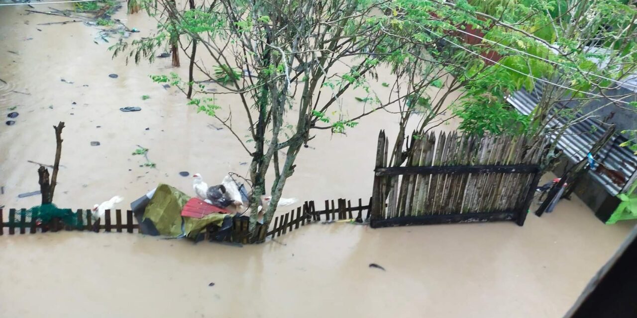 Iloilo, other WV provinces on highest response alert for Paeng