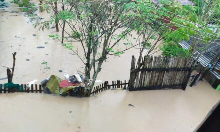 Iloilo, other WV provinces on highest response alert for Paeng