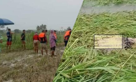 Capiz resident is 1st ‘Paeng’ casualty in WV