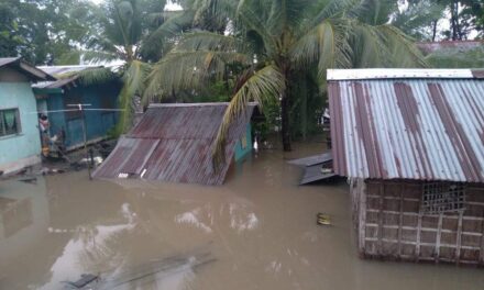 ‘Paeng’ leaves 29 dead, 600 homeless in Western Visayas
