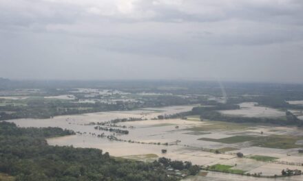 Paeng’s damage to agri-fisheries hits almost P500M in Iloilo