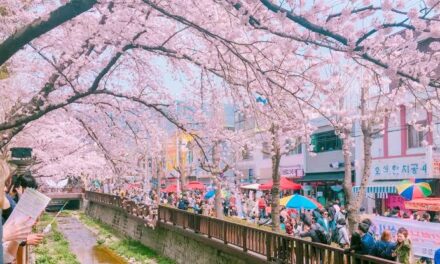 Korean gov’t scholarship application opens Feb. 2023