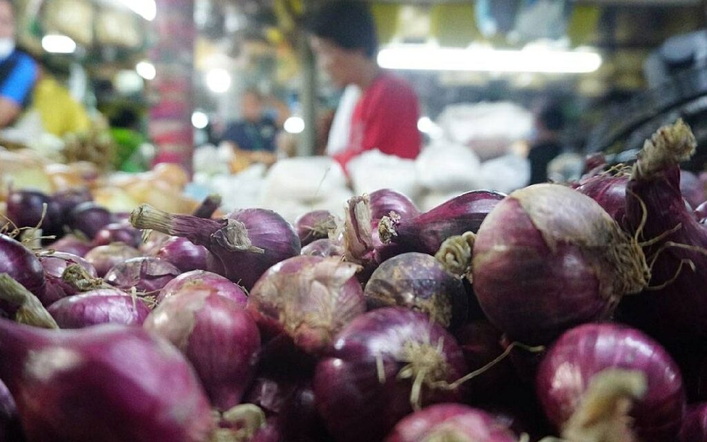 Price of red onions in Iloilo City rises to nearly P300 per kilo
