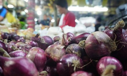 Price of red onions in Iloilo City rises to nearly P300 per kilo