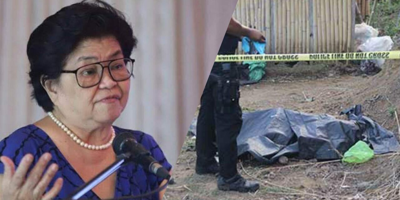 Carlos ‘grateful’ for Army’s victory vs NPA in Iloilo clash