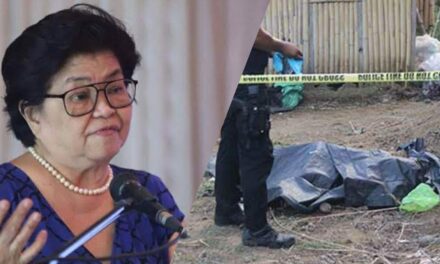 Carlos ‘grateful’ for Army’s victory vs NPA in Iloilo clash