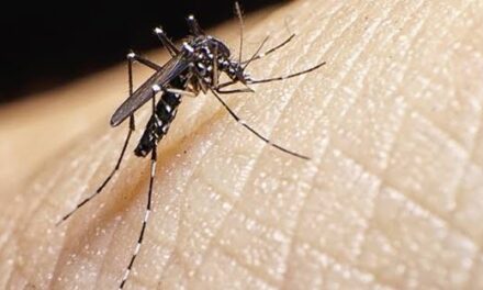 Dengue kills 20, downs nearly 3K in Iloilo province