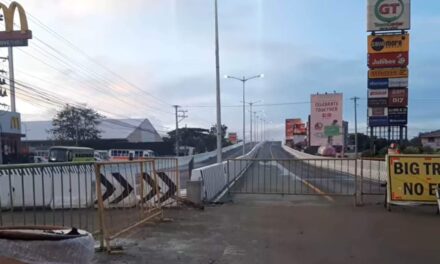 Treñas stresses need for immediate repair of Ungka Flyover