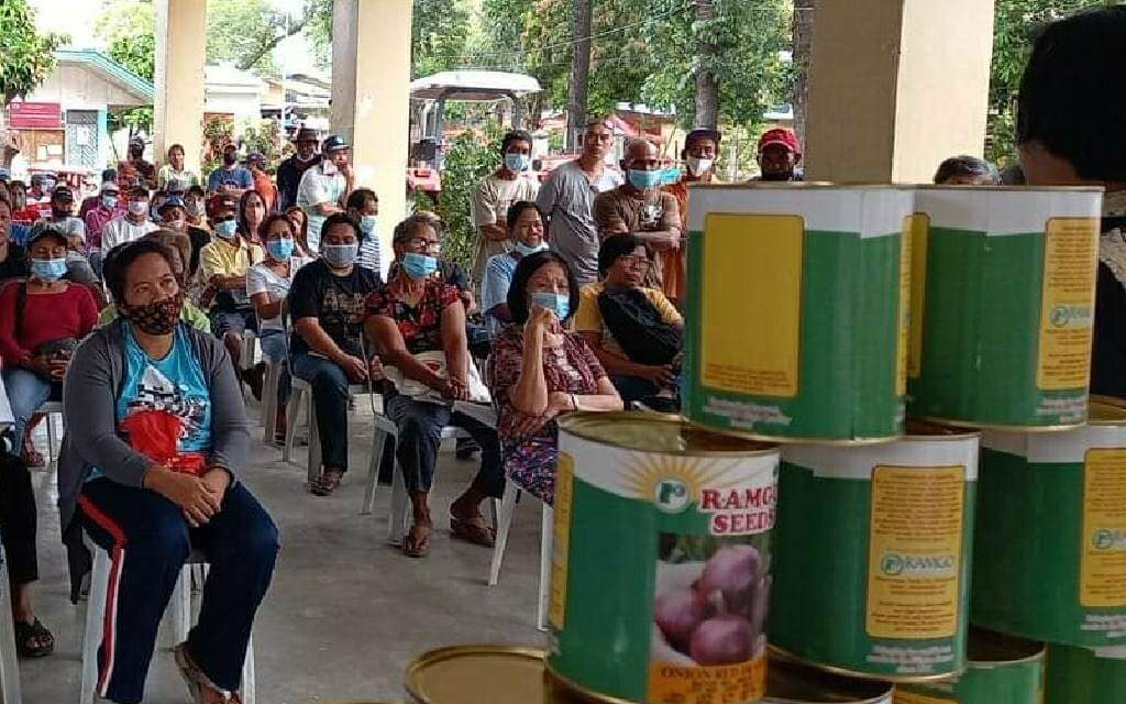 Miagao farmers prep up for onion seed production