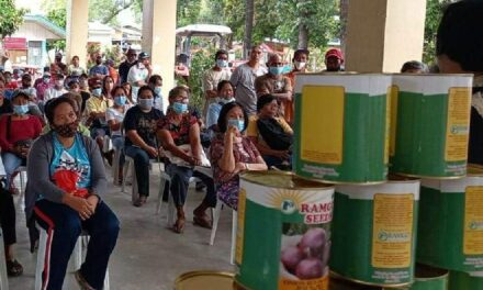 Miagao farmers prep up for onion seed production