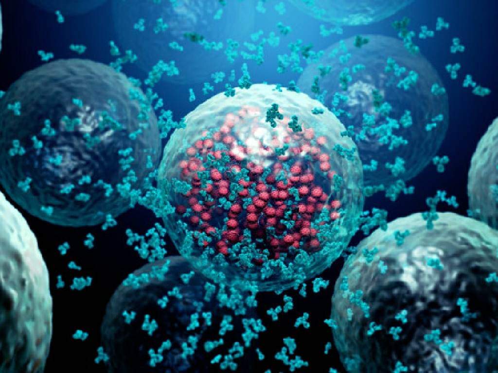 HIV cases in Iloilo reach over 2K