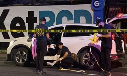 Negros Occidental power coop GM shot dead