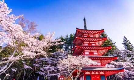 Japan scholarship slots now open for Filipino teachers, students