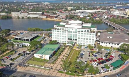 Iloilo taps biz group to fill gaps in province’s economy