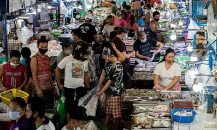 BSP sees December inflation to settle between 7.8 to 8.6 pct