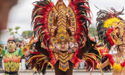 PRO-6 suspends firearm permits in Dinagyang 2023