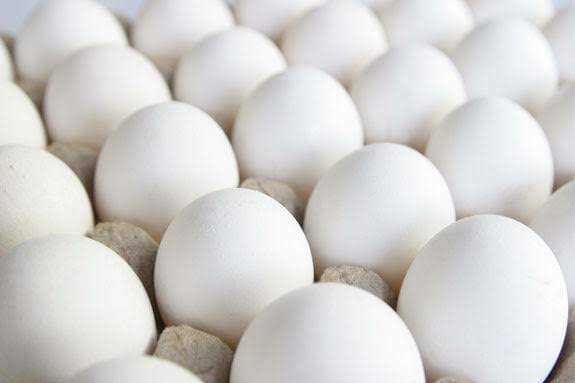 NegOcc assures stable supply with 1.2M eggs daily output