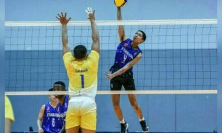 Iloilo beats Airmen in Spikers’ Turf Open Conference
