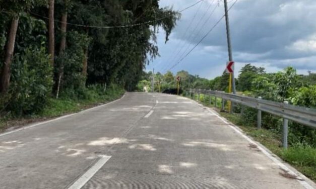 P295-M access road boosts agri-tourism in Talisay City