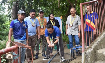 P1.42-M water system project benefits 2 Miagao villages