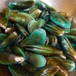 Roxas City, 2 Capiz towns now red-tide free