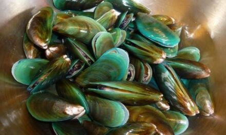 Roxas City, 2 Capiz towns now red-tide free