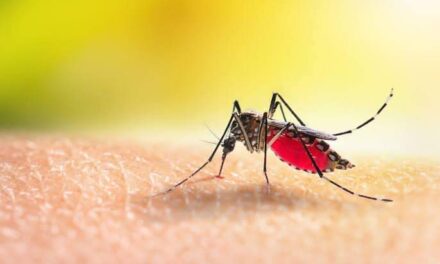 Dengue cases in Iloilo province more than double