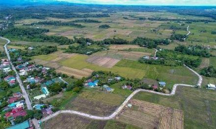 Paved road connects villages in San Miguel, Iloilo