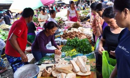 WV’s inflation rate still highest in PH