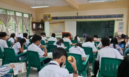 ‘No homework’ policy for elementary, junior high school students pushed