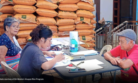 WV rice farmers avail P635-M fertilizer vouchers for dry season