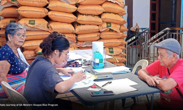 WV rice farmers avail P635-M fertilizer vouchers for dry season