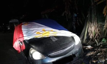 Man arrested for using PH flag as car cover