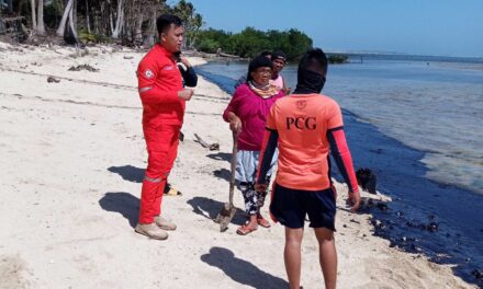 PH eyes Japan’s help to contain Mindoro oil spill