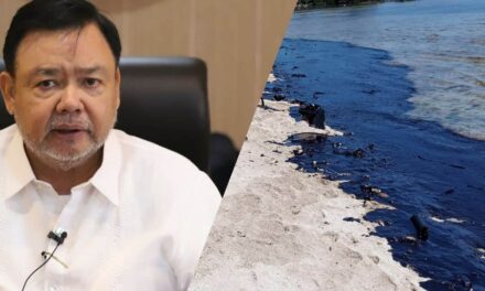 Iloilo City prepares for possibility of Mindoro oil spill reaching its shores