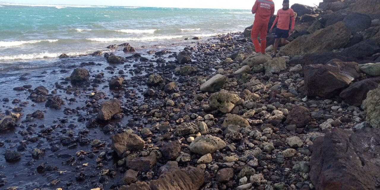 Oil spill threatens P79-M seaweed industry in Antique island town