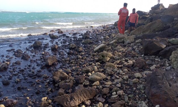 Oil spill threatens P79-M seaweed industry in Antique island town